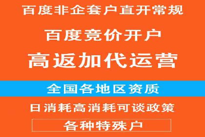 百度推广策略分享：实战案例